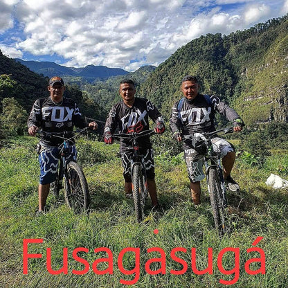 BERMUDA DESIGNS 2026