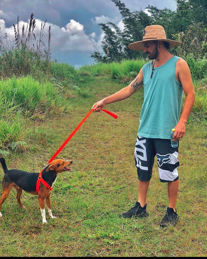 BERMUDA FOX RIDER 2025